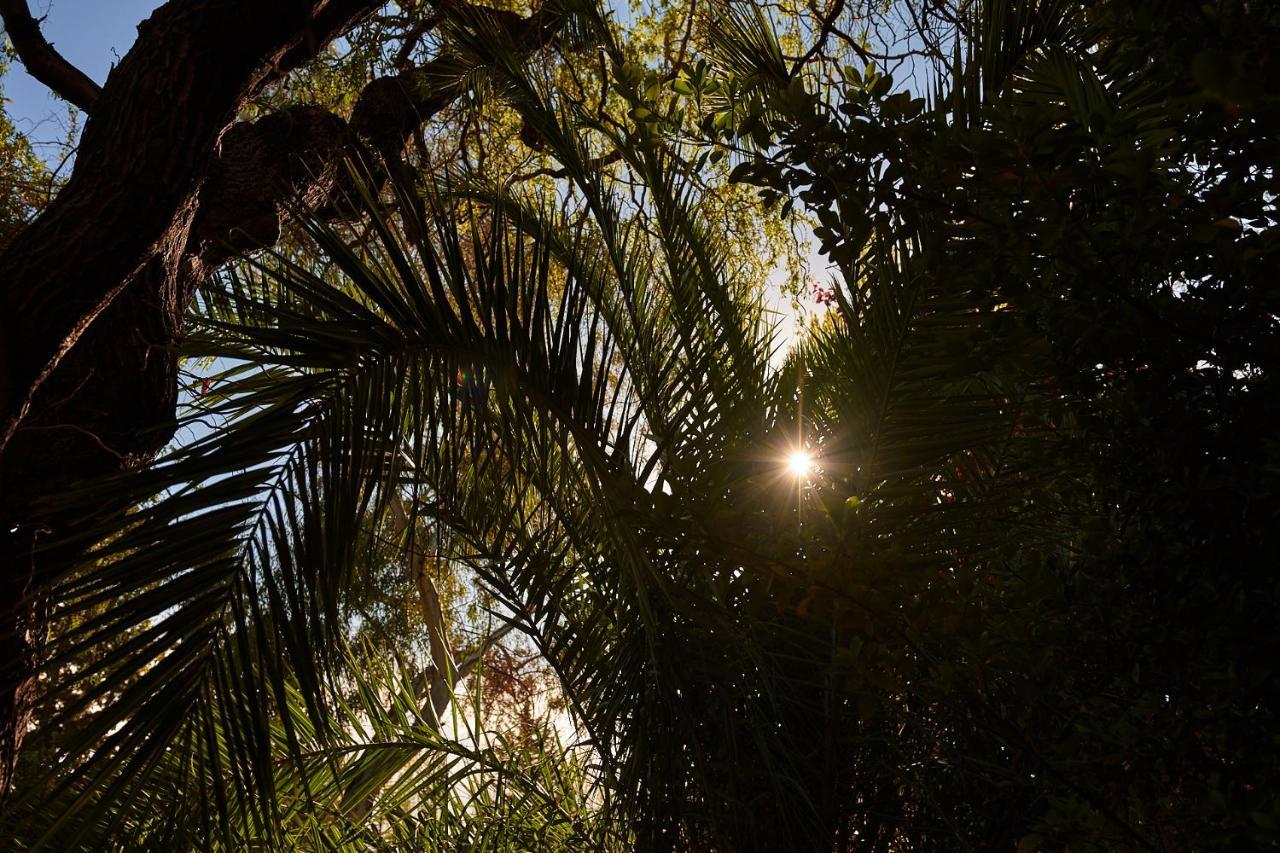 Alquiler Temp "Una Pausa" Barrio Privado En Vistalba Mendoza Exterior foto