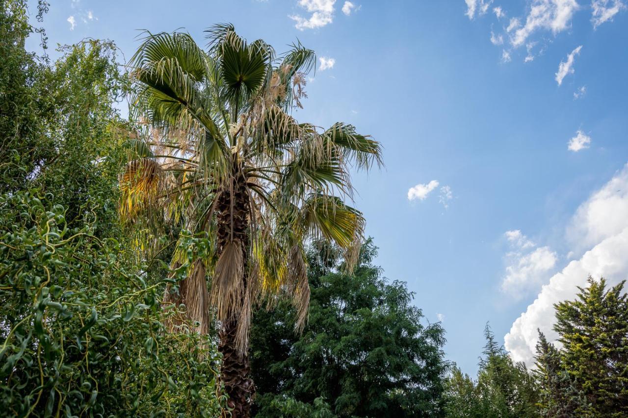 Alquiler Temp "Una Pausa" Barrio Privado En Vistalba Mendoza Exterior foto